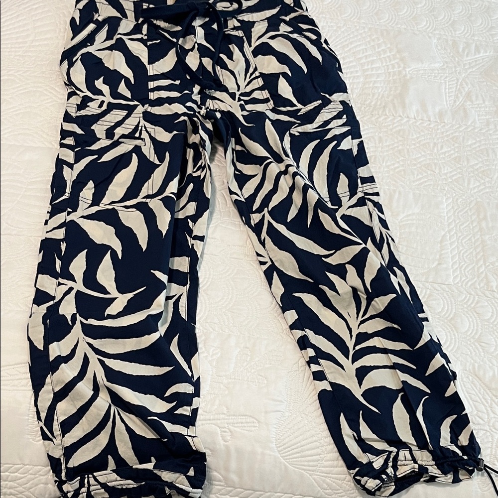 Democracy Capri - image 1